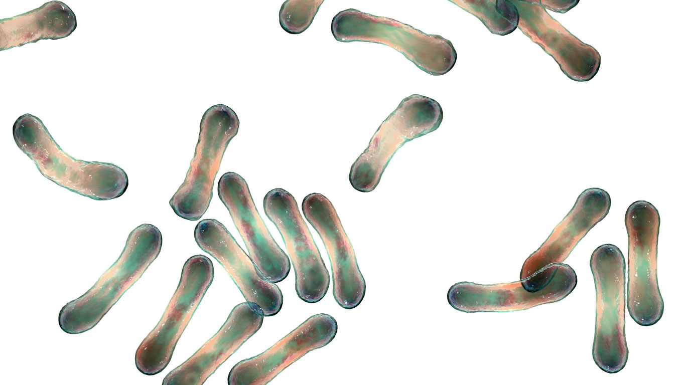Diphtheria death in Australia prompts vaccination warning