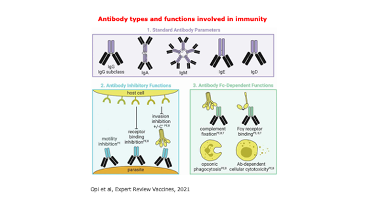 Understanding malaria transmission and immunity to inform malaria elimination