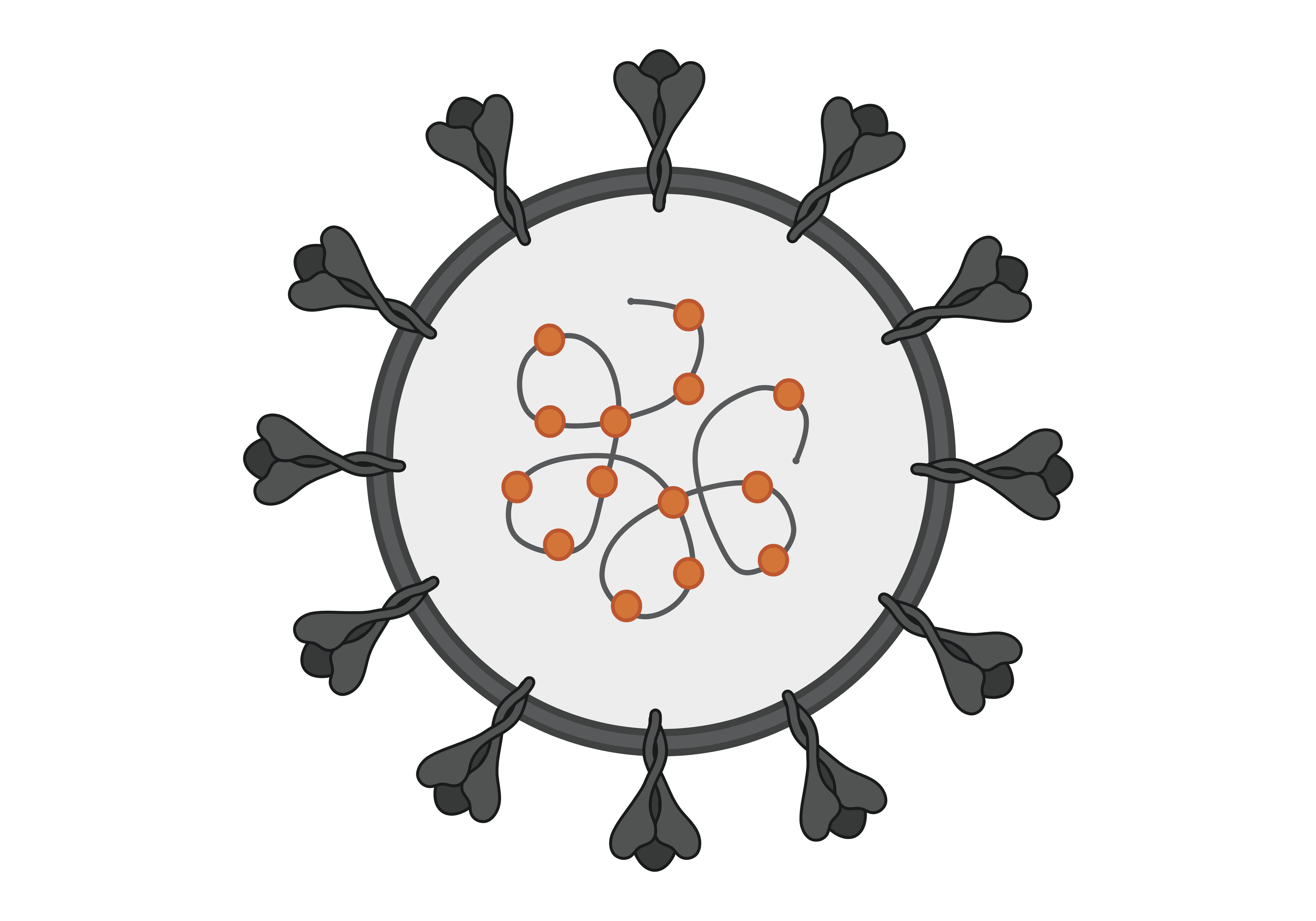 Impact of malaria and other host factors on COVID-19 immune responses following infection and vaccination